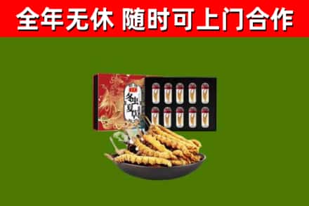 镜湖区回收冬虫夏草价格
